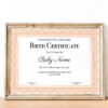 editable certificate template